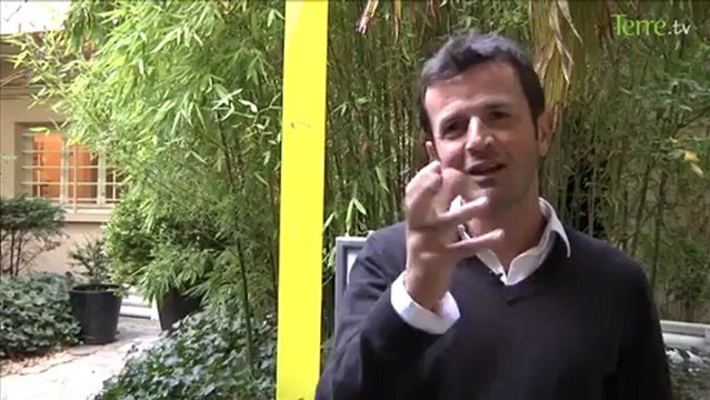 Vittel plante des arbres en Amazonie