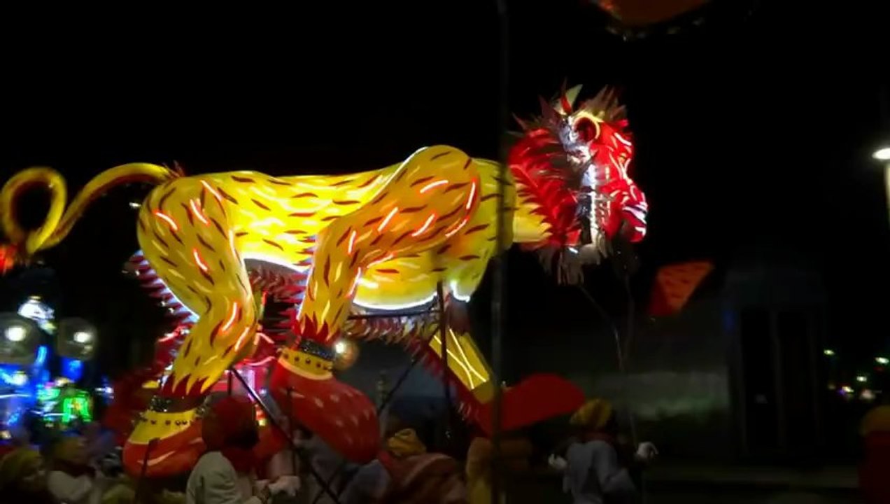 La Sarabande des Animaux Magnifiques Lyon Fête des Lumières