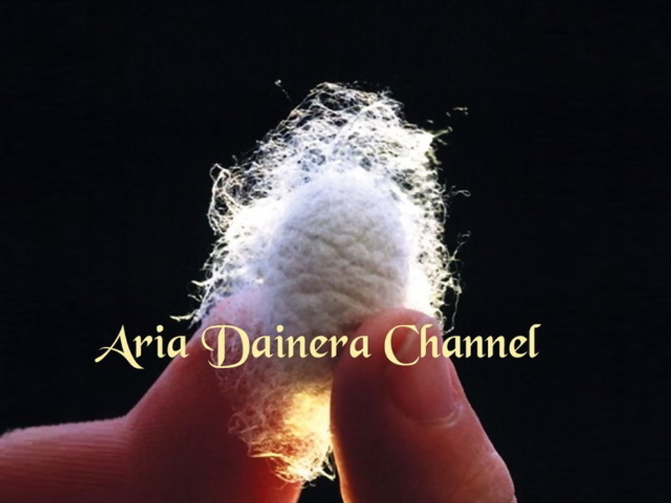 Aria Dainera ★ ΚΟΥΚΟΥΛΙ, μέρος α' (παραμύθι)