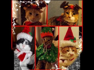 Joyeux noël de la part de toute ma troupe et moi même