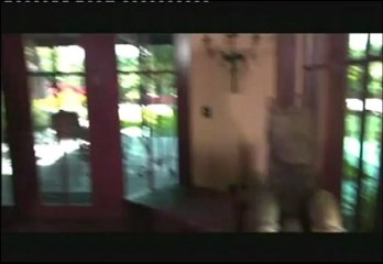 The Perfect Business