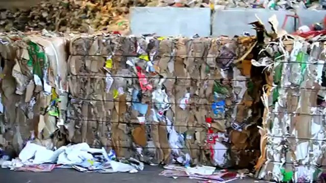 Recycling Cardboard in Auckland, Reclaim collects and processes in one day.