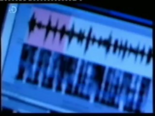 Superfluidez verbal (Area de Broca): Fran Capo (603 pals./min)