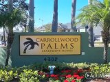 Carrollwood Palms Apartments in Tampa, FL - ForRent.com