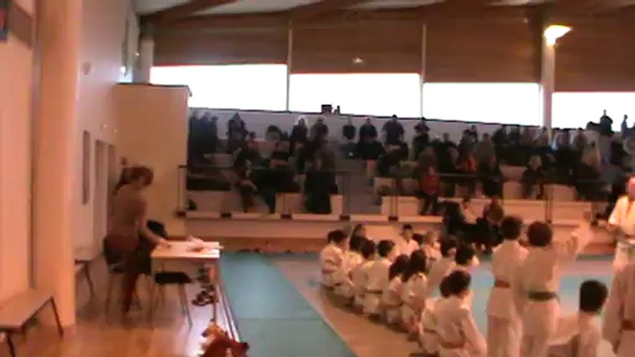 Jujitsu Rollin Philippe