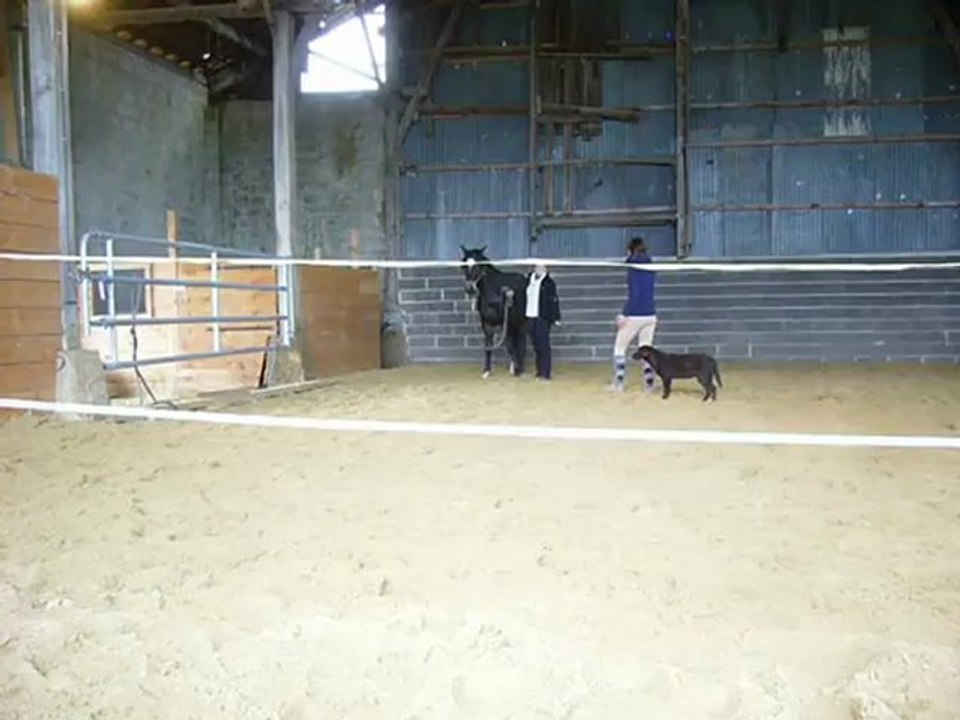 Talar 16/12/11, mobilisation des épaules