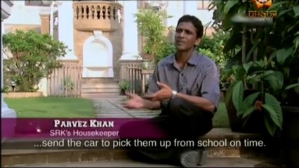 SRK.Звездные будни.Часть8.2010.SATRip