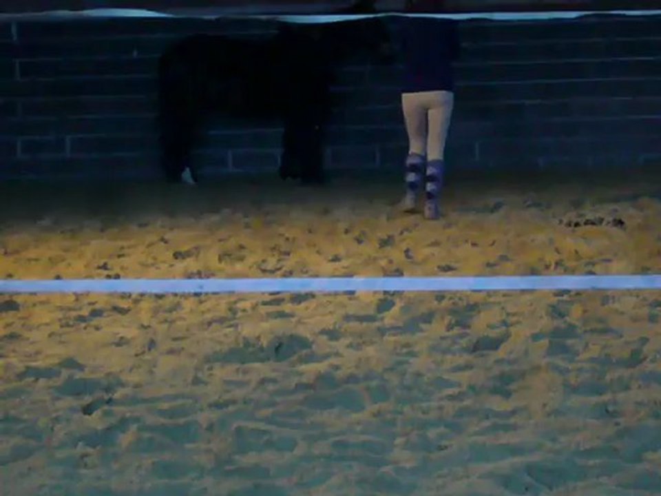 Talar 16/12/12, trot en mains et arrêts