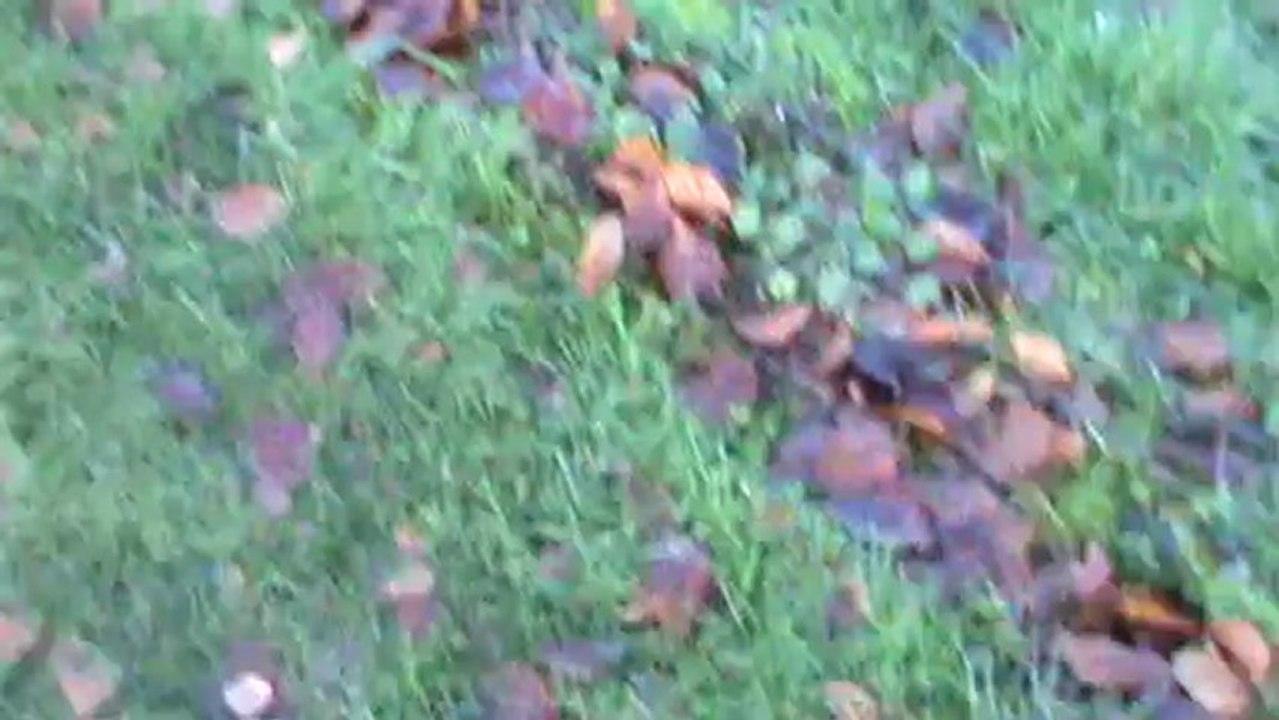 Concours Amical Jugé leval 15-12-12