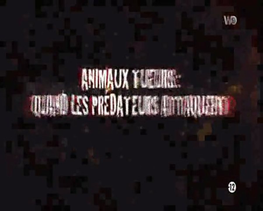 animaux tueurs - la savane de tous les dangers