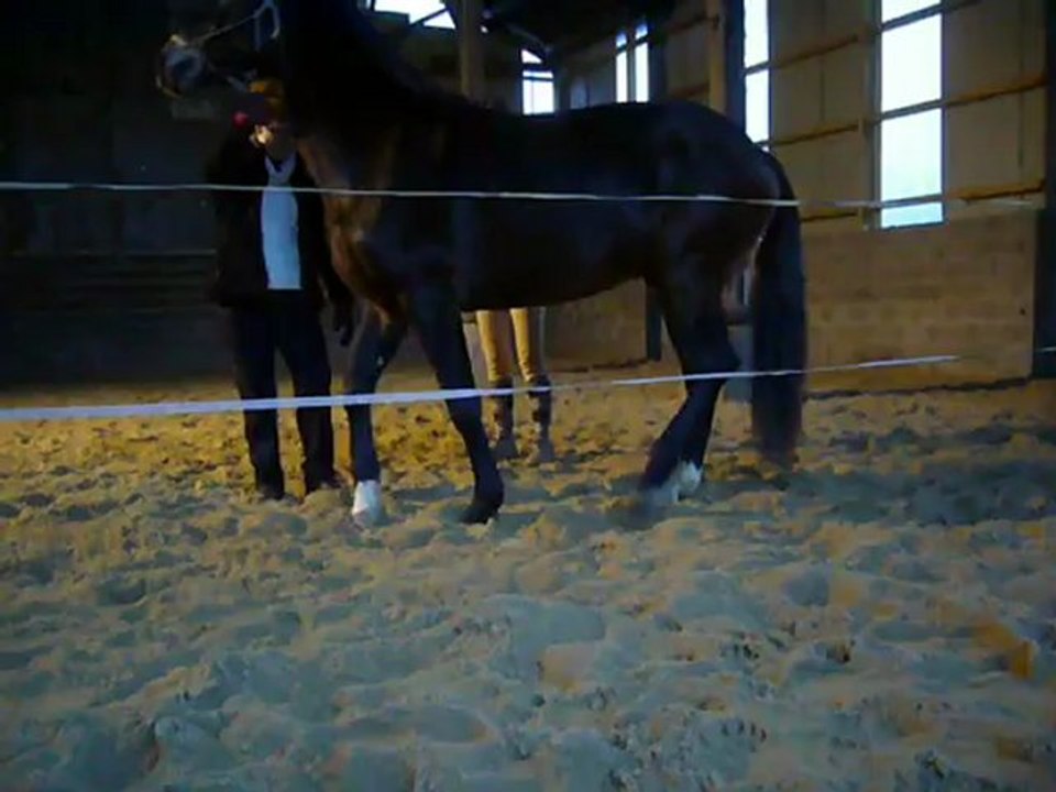 Talar 16/12/12, session à la pression