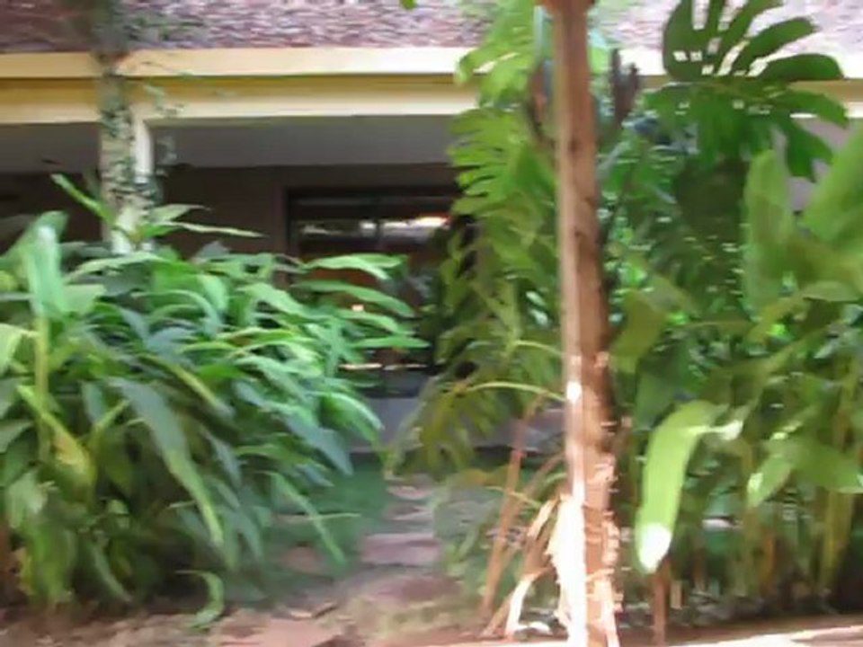 Mali : deux jeunes amputés par le Mujao