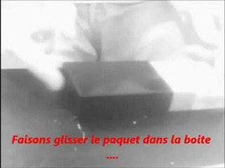 Magic Shark Hypno - Changement de billet et le cauchemar du fumeur