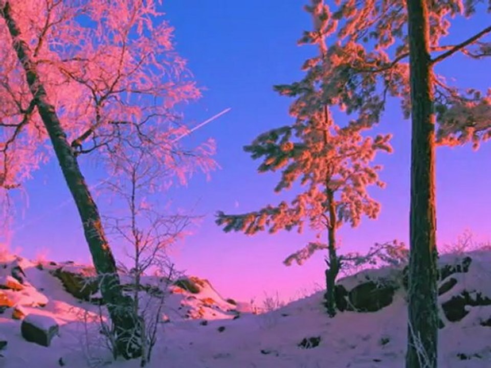 VIVALDI - WINTER2