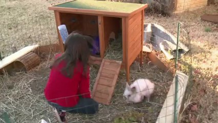 Americanos prontos para o fim do mundo