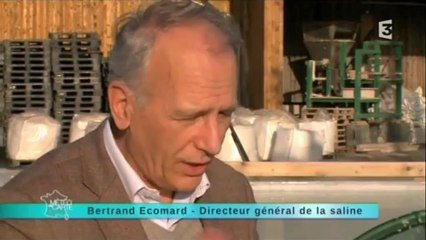 Thermes de Salies de Béarn - météo à la carte