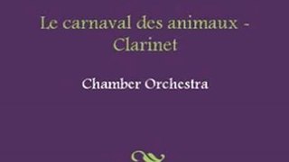 Fun Book Review: Le carnaval des animaux - Clarinet Sheet Music by Camille Saint-Sans