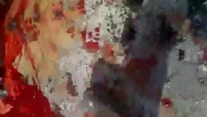 Amateur footage: Shelling of Syrian town kills 25