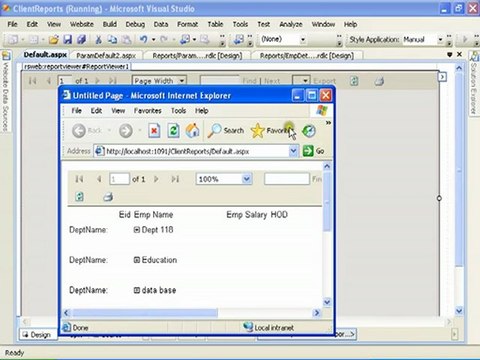 SSRS Client Side Reports - Group By Reports 40 of 43