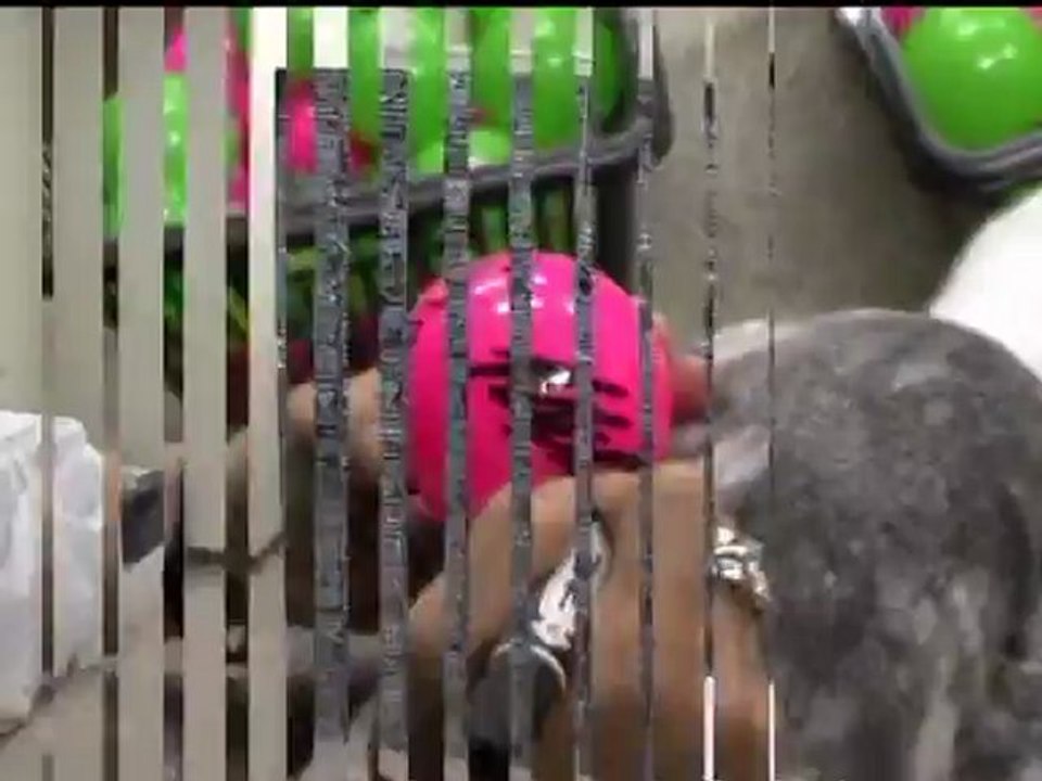 Thanksgiving Live in Dome BACKSTAGE (Parte 1)