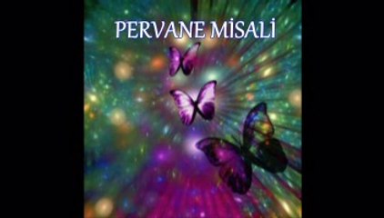 ELİF REYYA NAZ-İBRAHİM COŞAR     PERVANE MİSALİ
