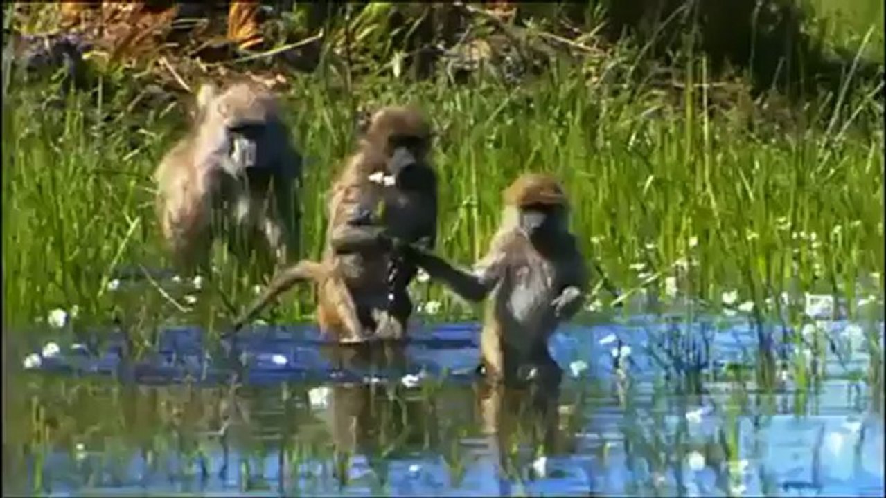 MUHTEŞEM GÖRÜNTÜLER...