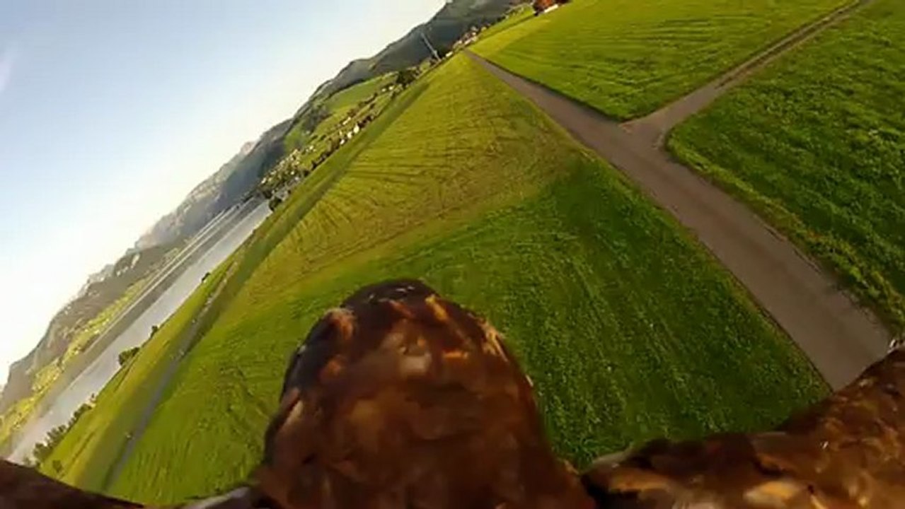 Caméra sur un Aigle RC