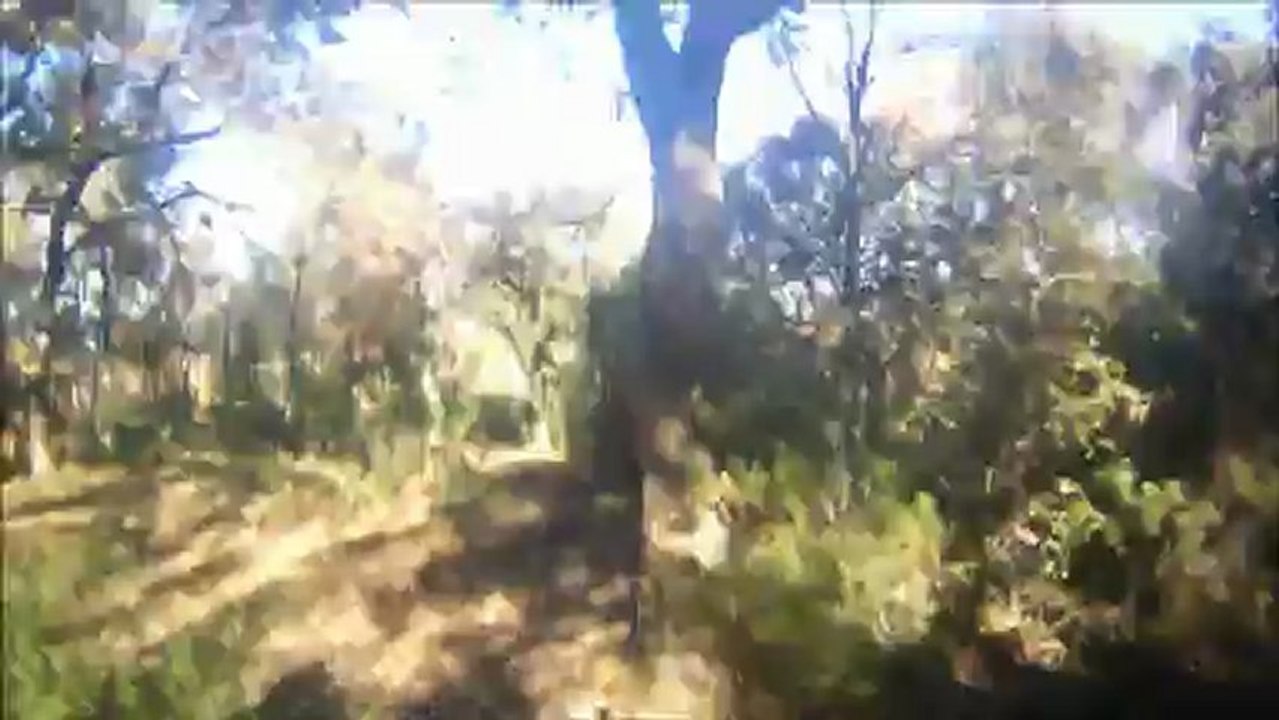 finalisation d'une piste enduro sur roquebrune-sur-argens