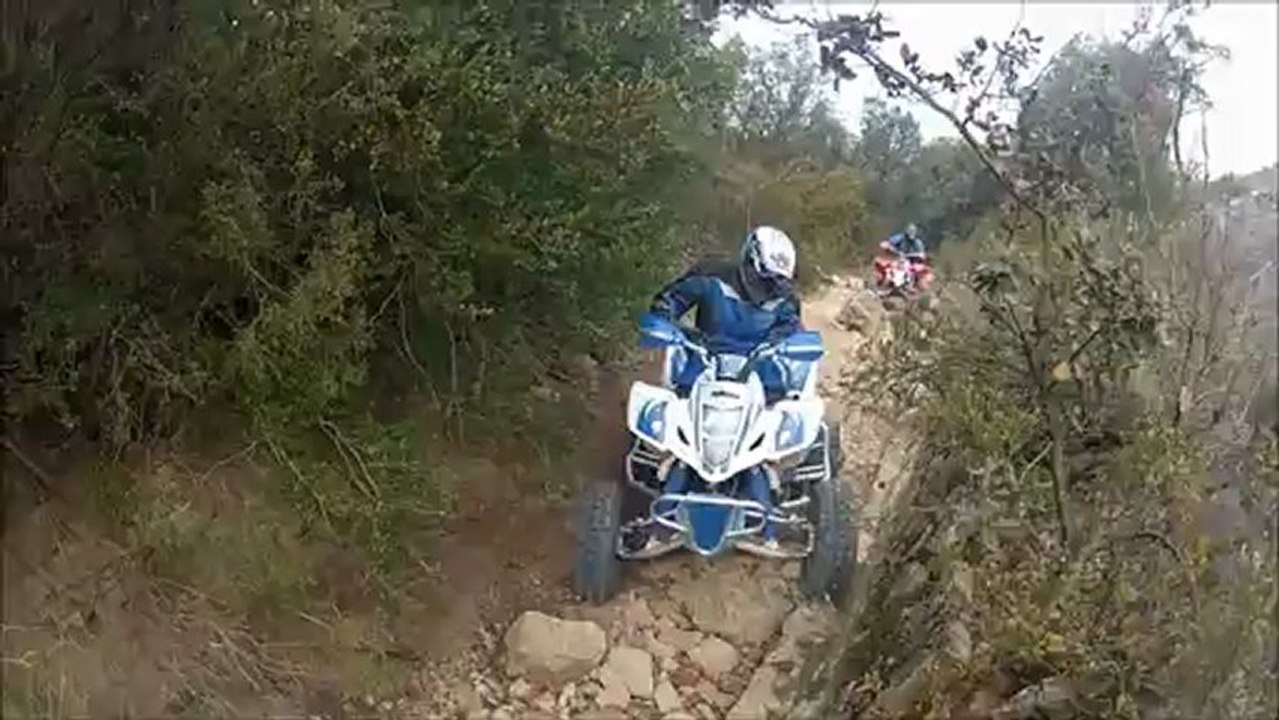 SORTIE DU 3 MARS 2012