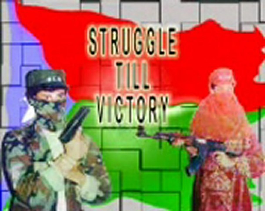 Videoplayback_20_mpeg4