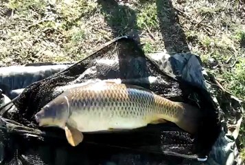Video0015