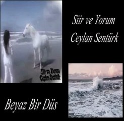 BEYAZ BİR DÜŞ - CEYLAN ŞENTÜRK