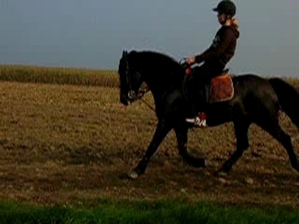 DSCN1622