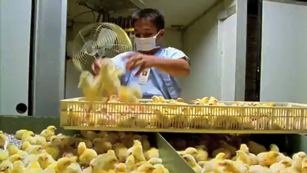 Le Parisien fait une publicité pour son magazine