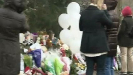 Demonstration for stricter gun laws after Newtown shooting