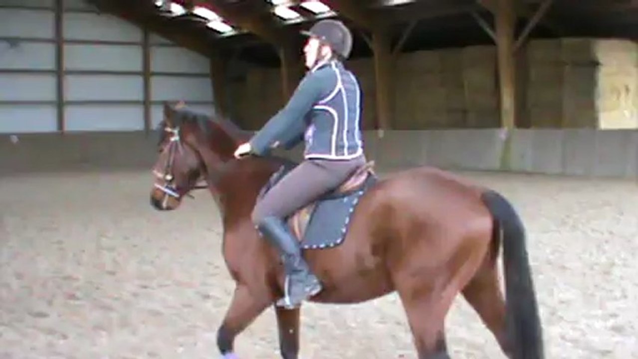Première séance débourrage Abaco