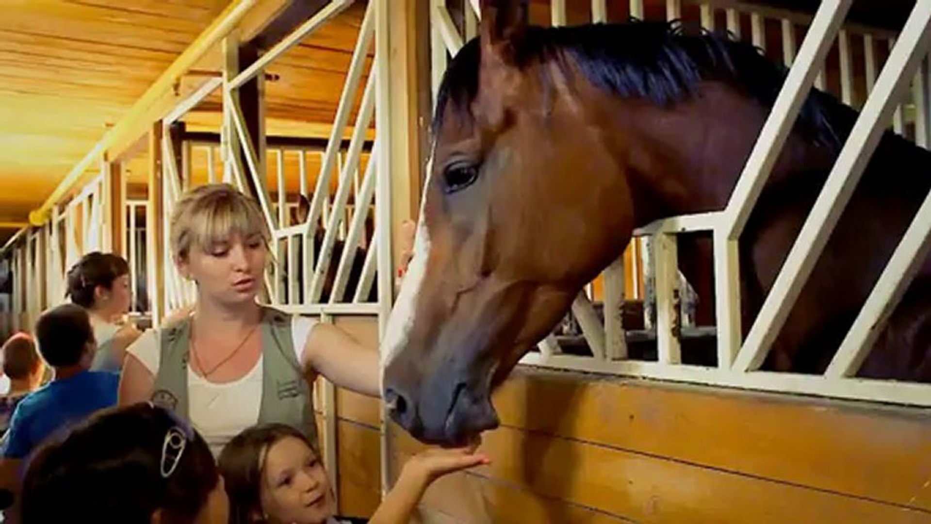 ⁣Сохранить конно-спортивный клуб