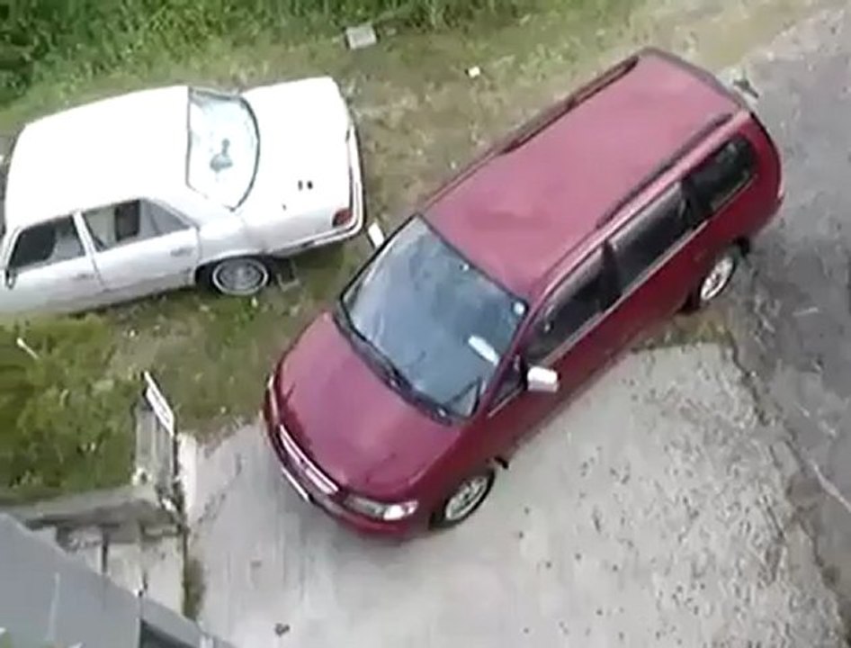 مسكين هذا القط مضحك www.video.fr.mu