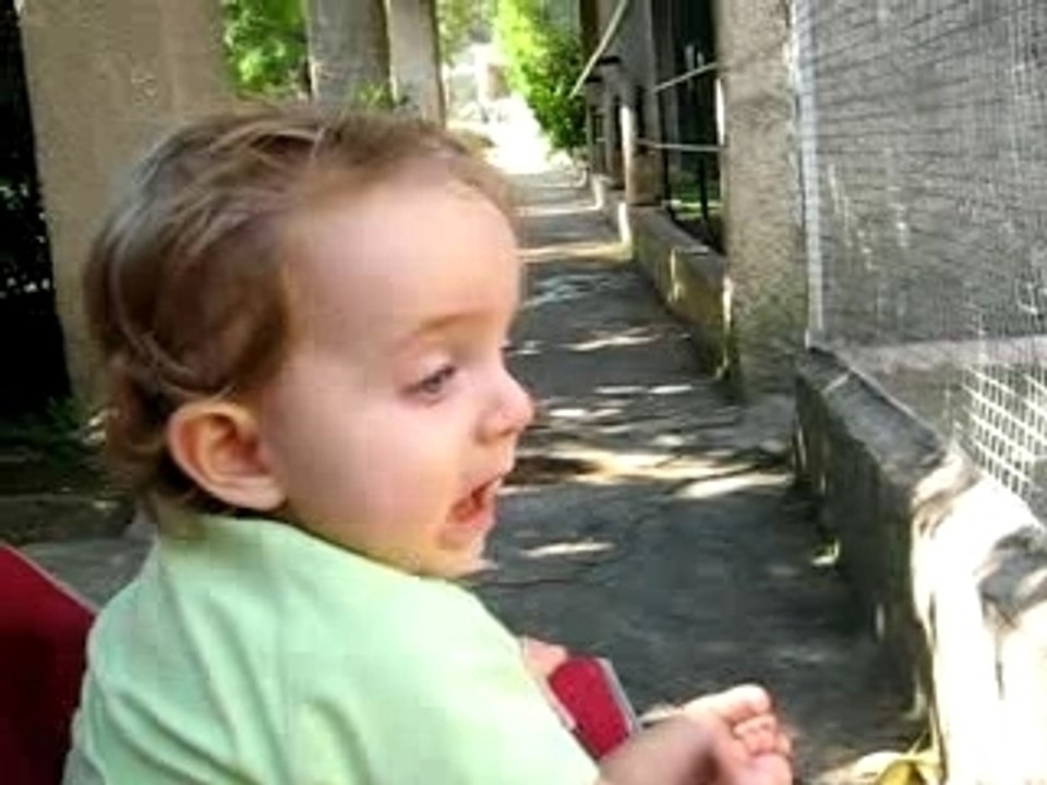 esteban au zoo
