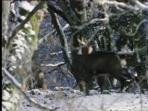 Jura - Instants volés