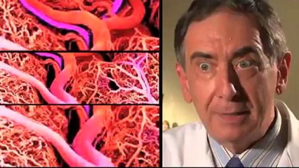 Saber Vivir: ¿Cómo controlar la diabetes?