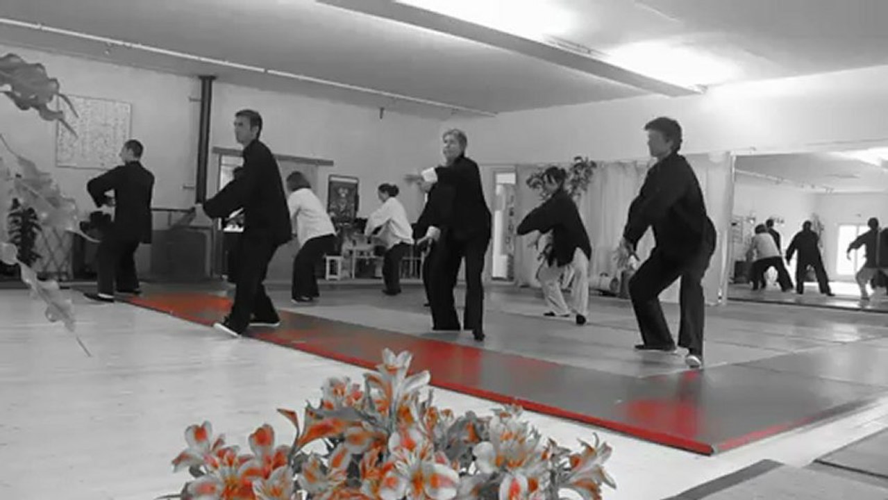 2012 STAGE inter-régional de l'ITCCA méditerranée - Taï chi chuan