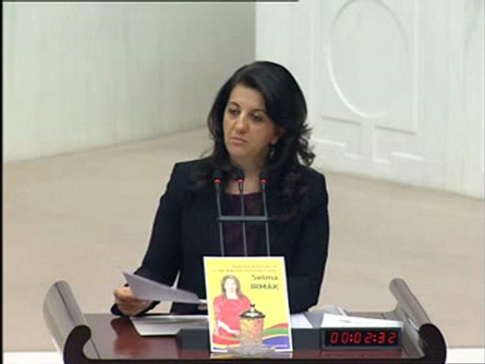 Mv. Selma Irmak Meclis'te