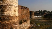 1100.Lohagarh Fort, Rajasthan.mov