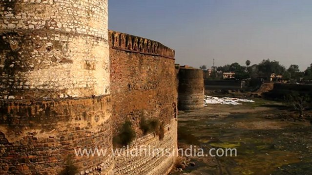 1100.Lohagarh Fort, Rajasthan.mov