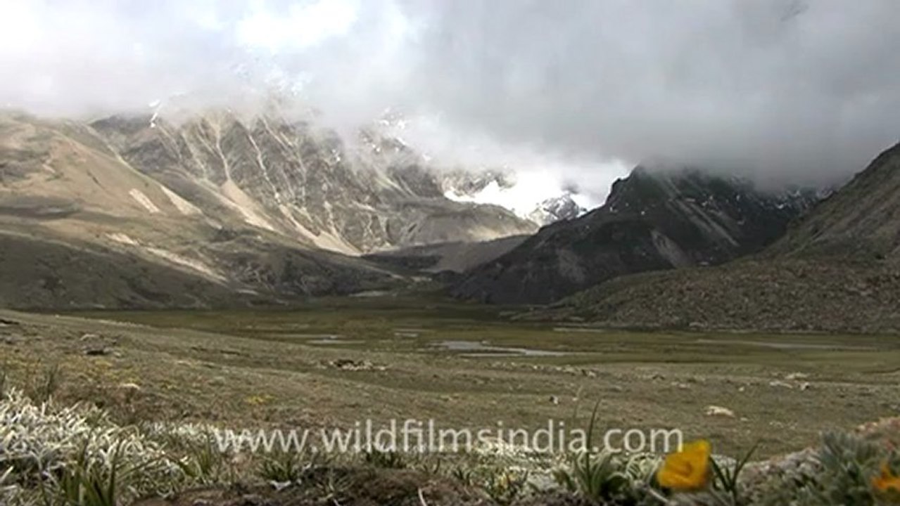 1114.Time Lapse of Clouds, Sikkim.mov