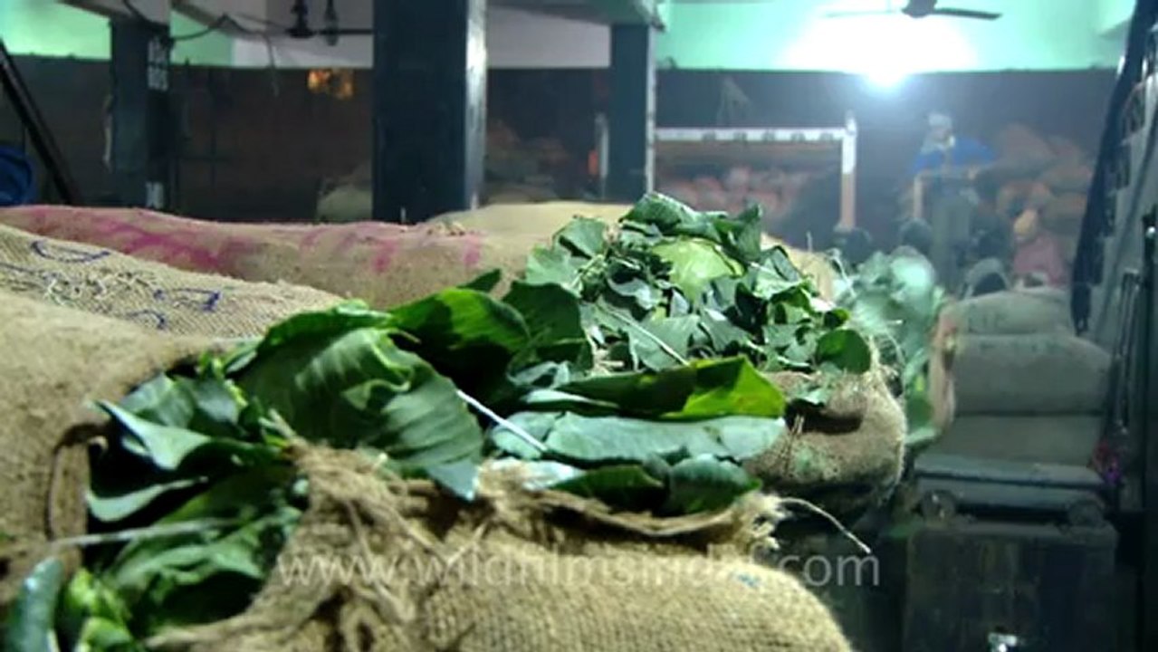 1120.Wholesale Vegetable Market, Azadpur, New Delhi.mov