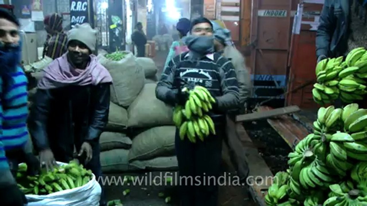 1121.Wholesale Vegetable Market in Azadpur, New Delhi.mov