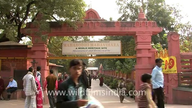 1150.Mahabodhi Mahavihara, Bodhgaya.mov