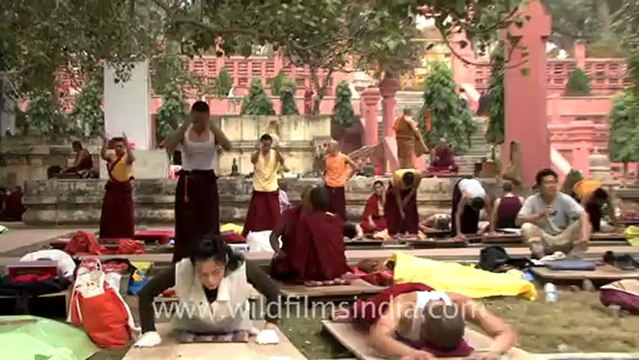 1153.Monks Praying in Mahabodhi Temple.mov